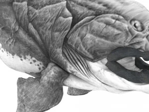 Dunklestous 3D Model