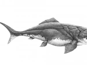 Dunklestous 3D Model