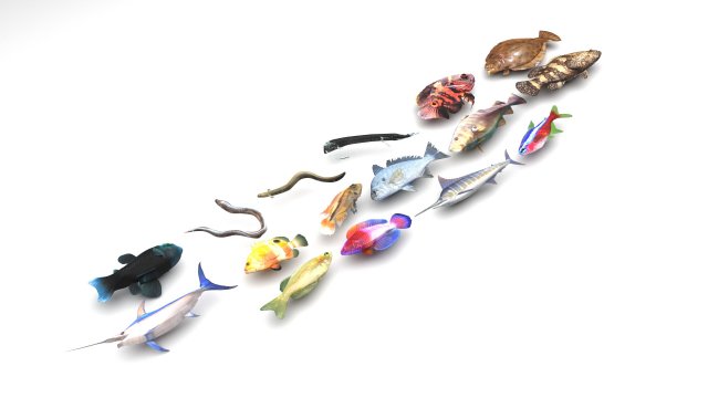Fishes Set 3D 模型 .c4d .max .obj .3ds .fbx .stl .blend 