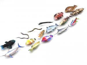 Fishes Set 3D Model