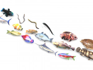 Fishes Set 3D 模型