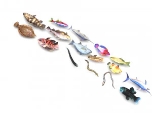 Fische-Set 3D Modell