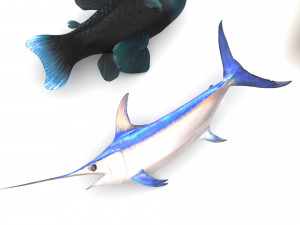 Fishes Set 3D 模型