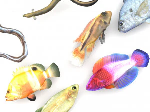 Fische-Set 3D Modell