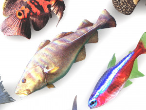 Fishes Set 3D 模型