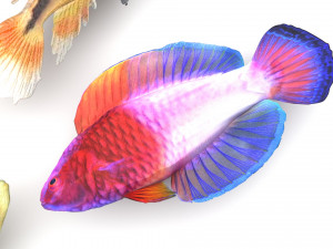 Fishes Set 3D 模型