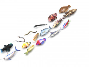 Fishes Set 3D 模型