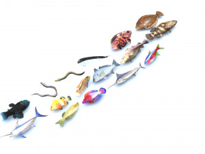 Fishes Set 3D 模型