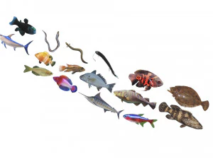 Fische-Set 3D Modell