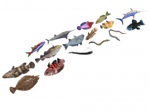 Fishes Set 3D 模型