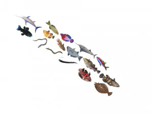 Fische-Set 3D Modell