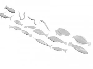 Fische-Set 3D Modell