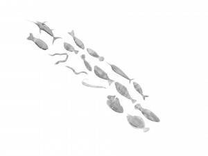Fishes Set 3D 模型