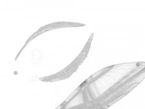 Fische-Set 3D Modell