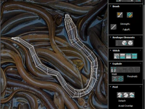 Fische-Set 3D Modell