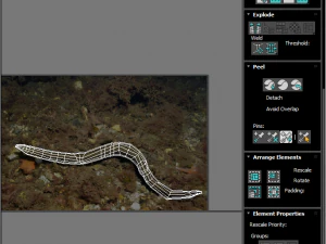 Fische-Set 3D Modell