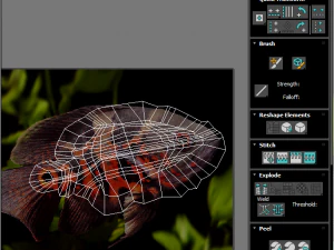 Fische-Set 3D Modell