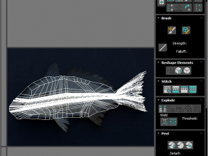 Fishes Set 3D 模型