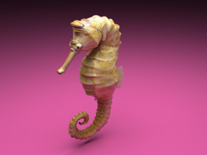 Seahorse 3Dモデル