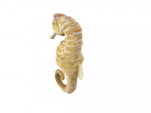 Seahorse 3Dモデル