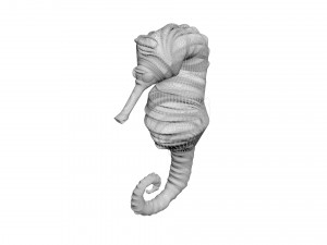 Seahorse 3Dモデル