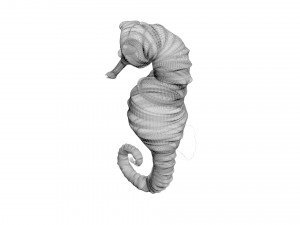 Seahorse 3Dモデル