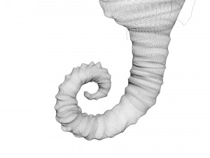 Seahorse 3Dモデル