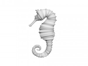 Seahorse 3Dモデル