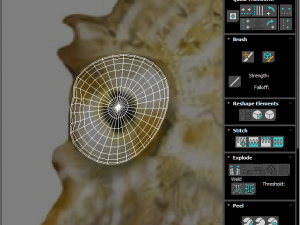 Seahorse 3Dモデル