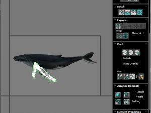 Humpback Whale 3D Model