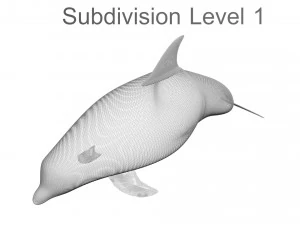 Dolphin Bottlenose 3D Model