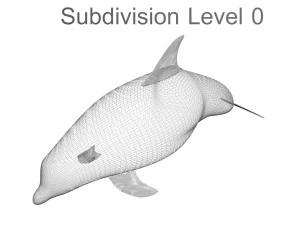 Dolphin Bottlenose 3D Model