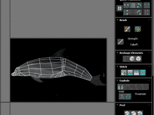 Dolphin Bottlenose Model 3D