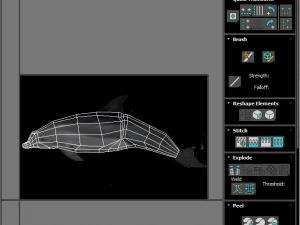 Dolphin Bottlenose 3D Model