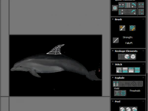 Dolphin Bottlenose 3D Model