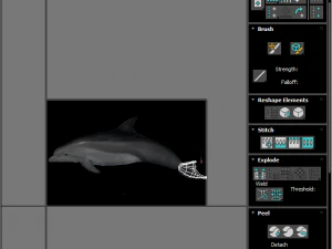 Dolphin Bottlenose 3D Model