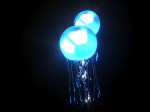 Jellyfishes 3D Model