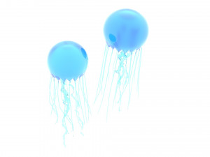 Jellyfishes 3D Model