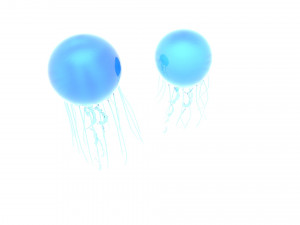 Jellyfishes 3D Model