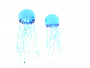 Jellyfishes 3D Model