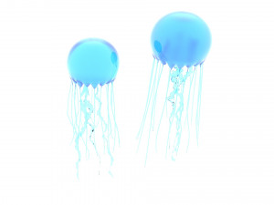 Jellyfishes 3D Model