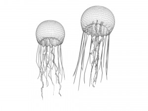 Jellyfishes 3D Model