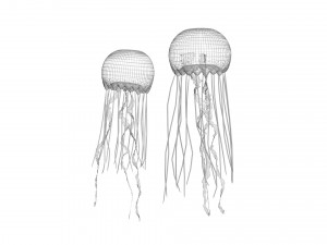 Jellyfishes 3D Model