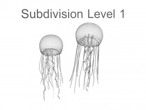 Jellyfishes 3D Model