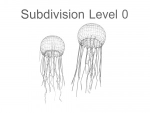 Jellyfishes 3D Model