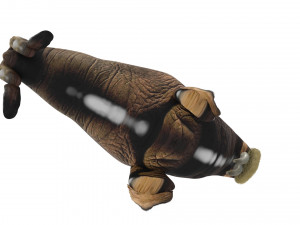 Walrus Modello 3D