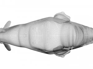 Walrus 3D Model