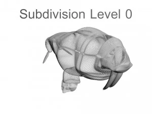 Walrus 3D Model