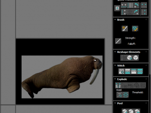 Walrus Modello 3D