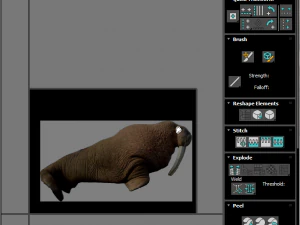 Walrus 3D Model